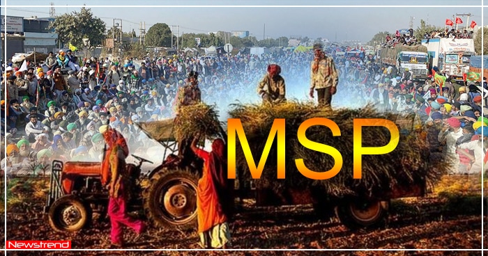 MSP क्या है? जिसको लेकर किसानों का चल रहा है हंगामा, जानिए पूरी जानकारी