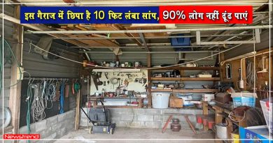 इस गैराज में छिपा है 10 फिट लंबा सांप, अब तक कोई नहीं ढूंढ पाया, क्या आप में है दम? इस गैराज में छिपा है 10 फिट लंबा सांप, अब तक कोई नहीं ढूंढ पाया, क्या आप में है दम?