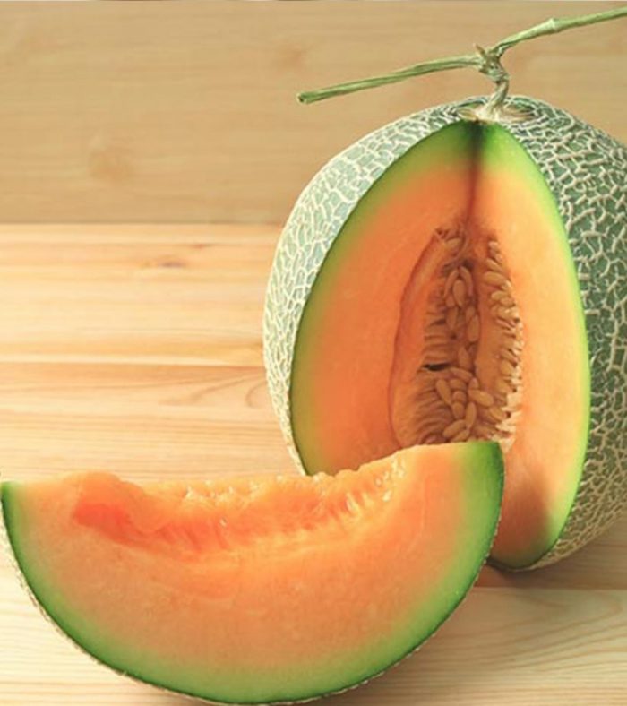 yubri melon