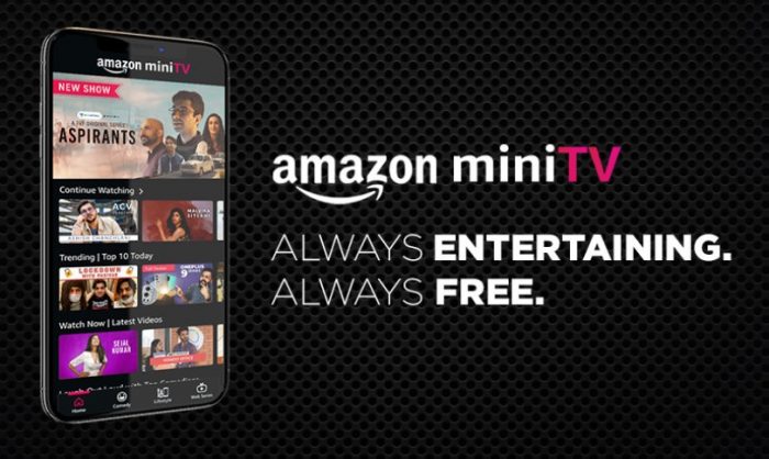 amazon mini tv