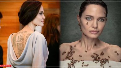 angelina jolie