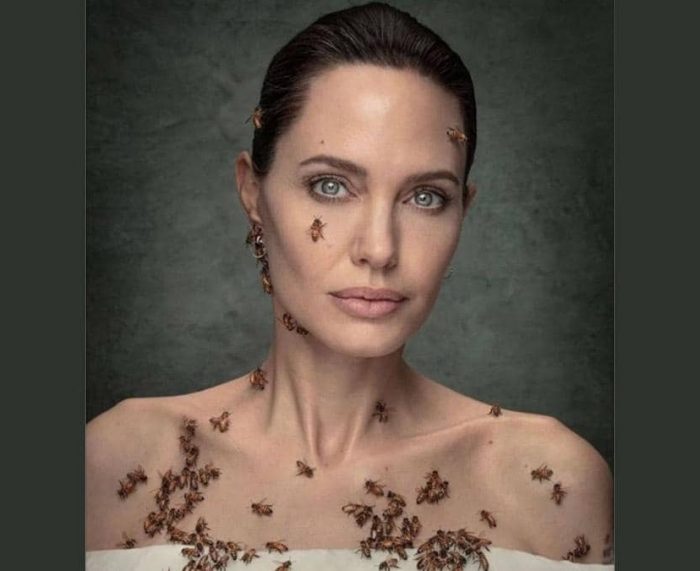 angielina jolie