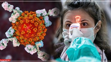 coronavirus antibody