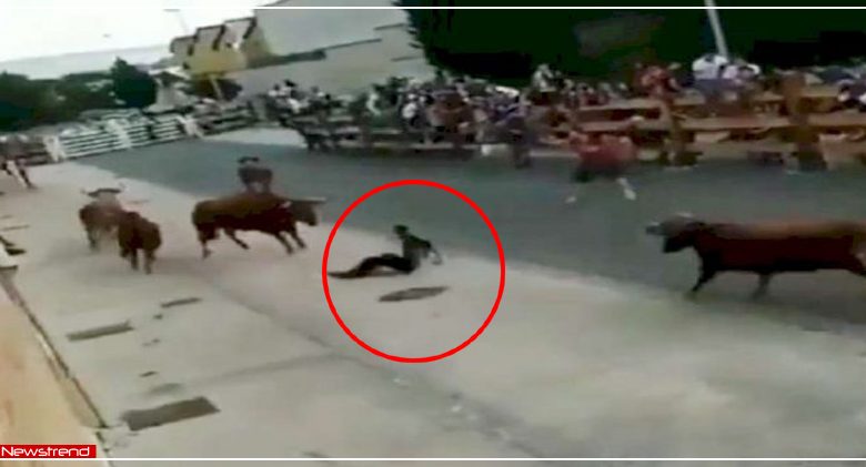 destiny saved man life during bullfighting