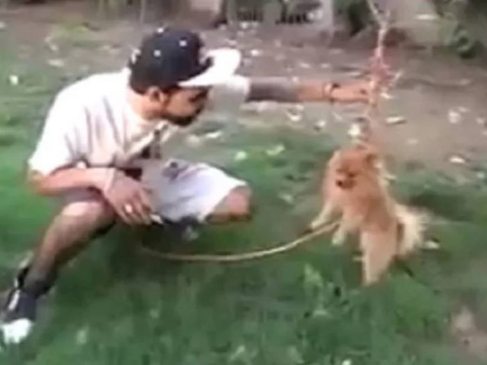 gaurav john arrested for trying to make dog fly