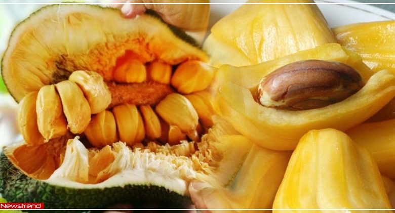 jackfruit seeds