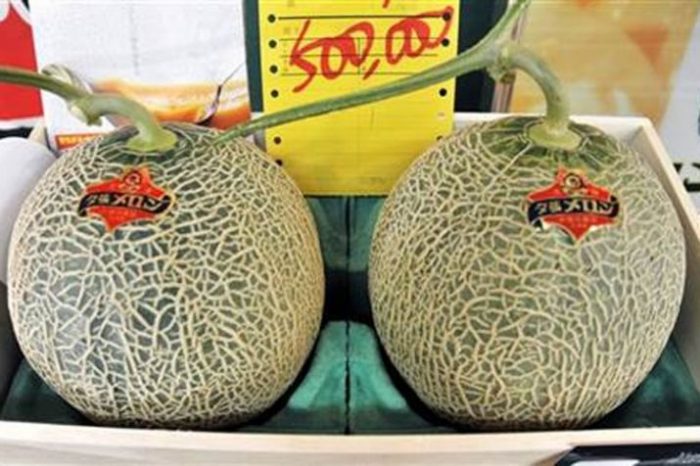 melon costs 18 lakh rupees