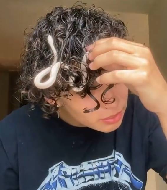 snake in hair 
