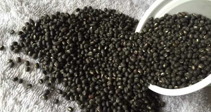 urad dal in hand