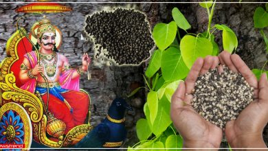 urad ka dal shani dev