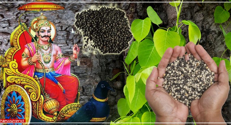 urad ka dal shani dev