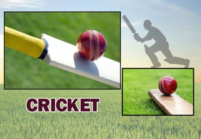 Cricket 