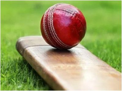 Cricket 