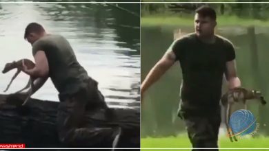 Soldier rushes to rescue a baby fawn from drowning