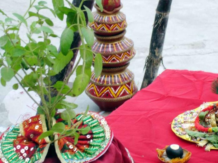 devi tulsi keep fast for lord vishnu