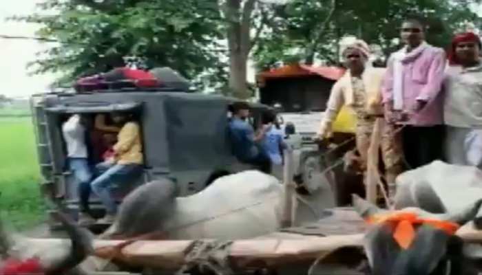 groom-and-the-baratis-rides-bullock-carts-to-reach-bride-house