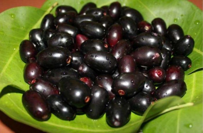 jamun