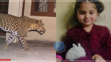 leopard took 4 years old child in kashmirs budgam