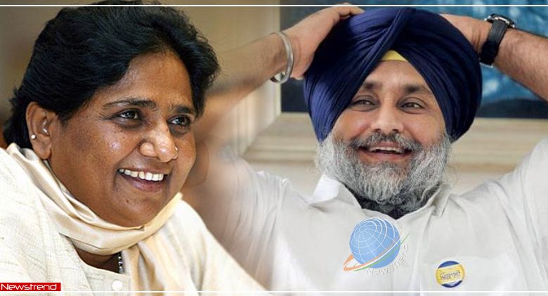 mayawati akalidal