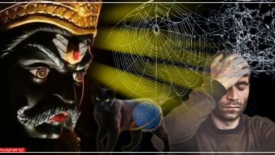negative impact of shanidev