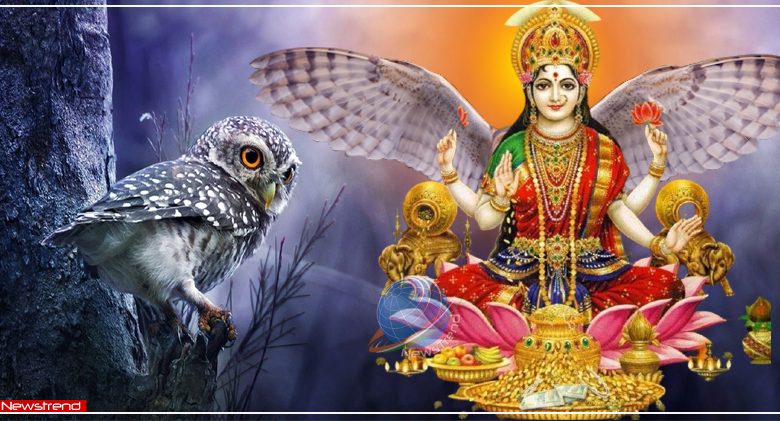 owl maa lakshmi mata