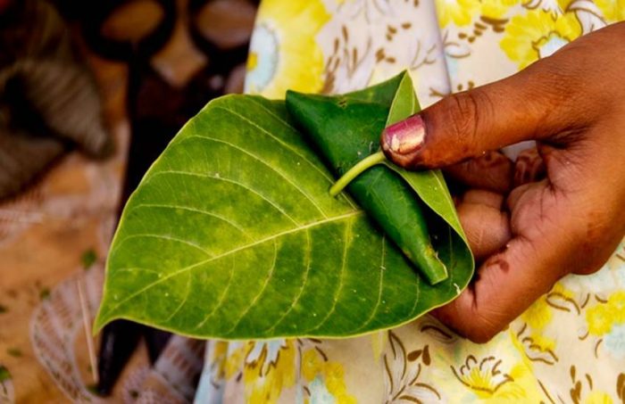 Benefits of betel leaf