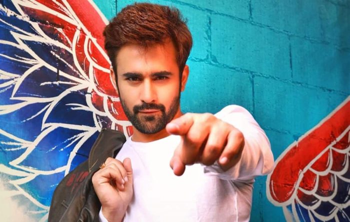 pearl v puri 