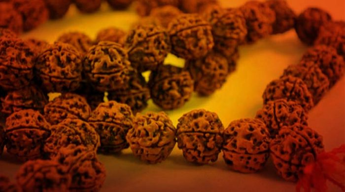 rudraksha