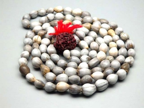 vaijanti mala