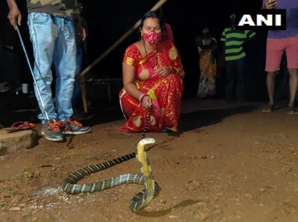 woman cathing snake in saree