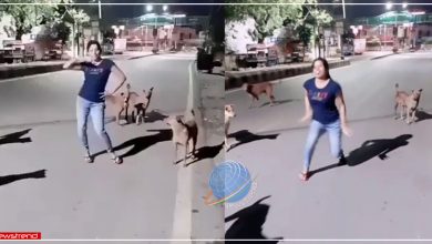 Basanti kutton ke saamne naachin