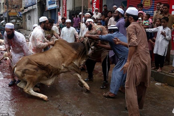 bakra eid slaughter ban Jammu kashmir
