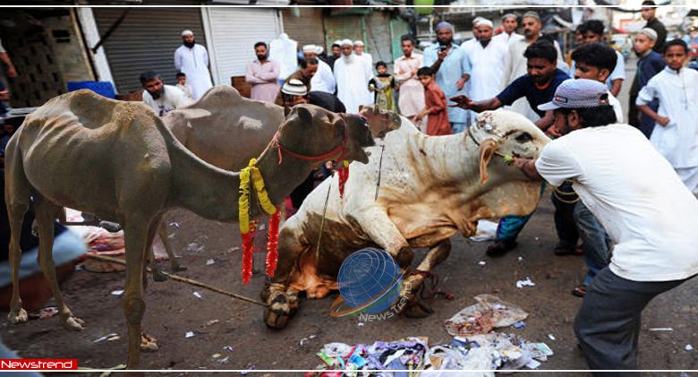 bakra-eid-slaughter-ban-in-jammu-kashmir