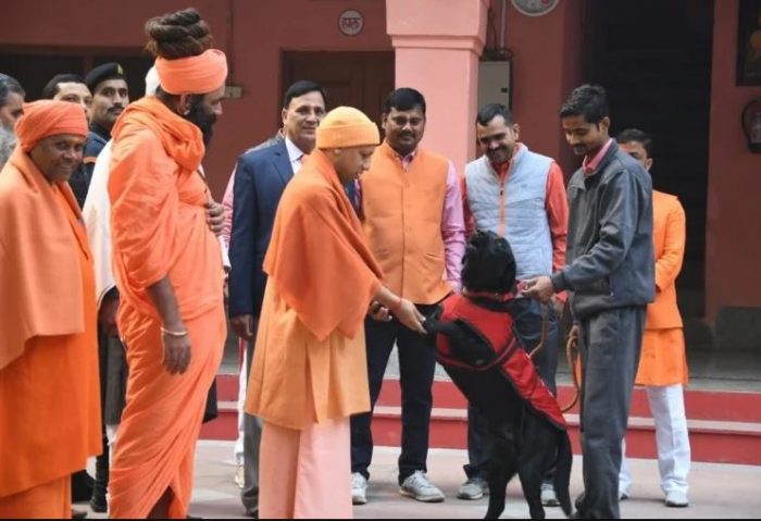 cm yogi pet 