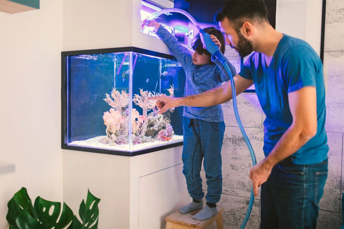 fish aquarium