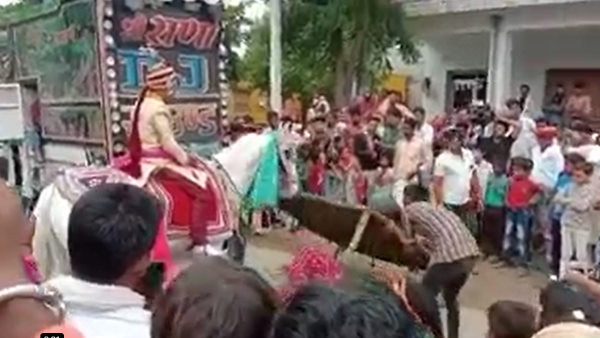 mare-ran-away-with-groom-in-rampura-ajmer-rajasthan