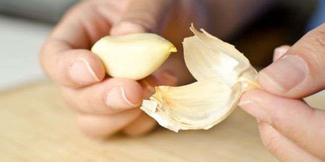 benefits of garlic