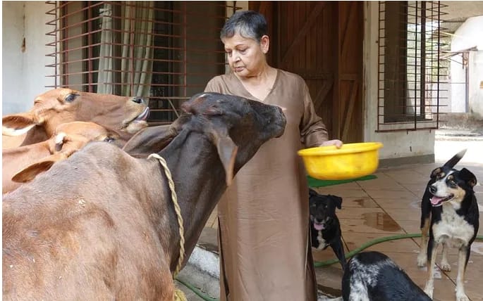 Dharmendra, Preity Zinta and these actors quit Bollywood and start farming