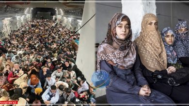 afghan refugees