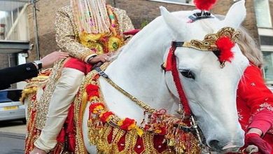 dulha