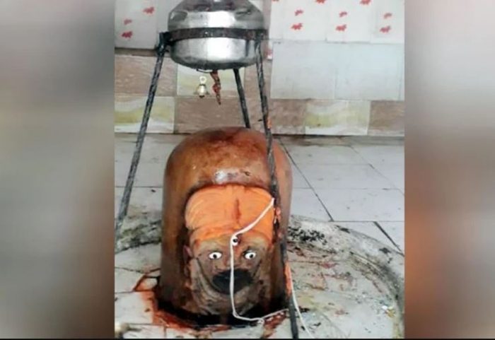 kasganj vankhandeshwar shivling 