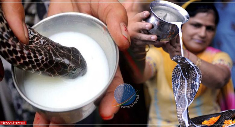 nag panchami milk in snake