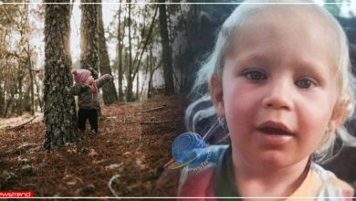 one year old girl survived three nights in deadly forest in russia