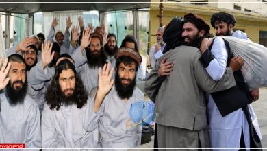 taliban-released-1000-terrorists-in-a-week