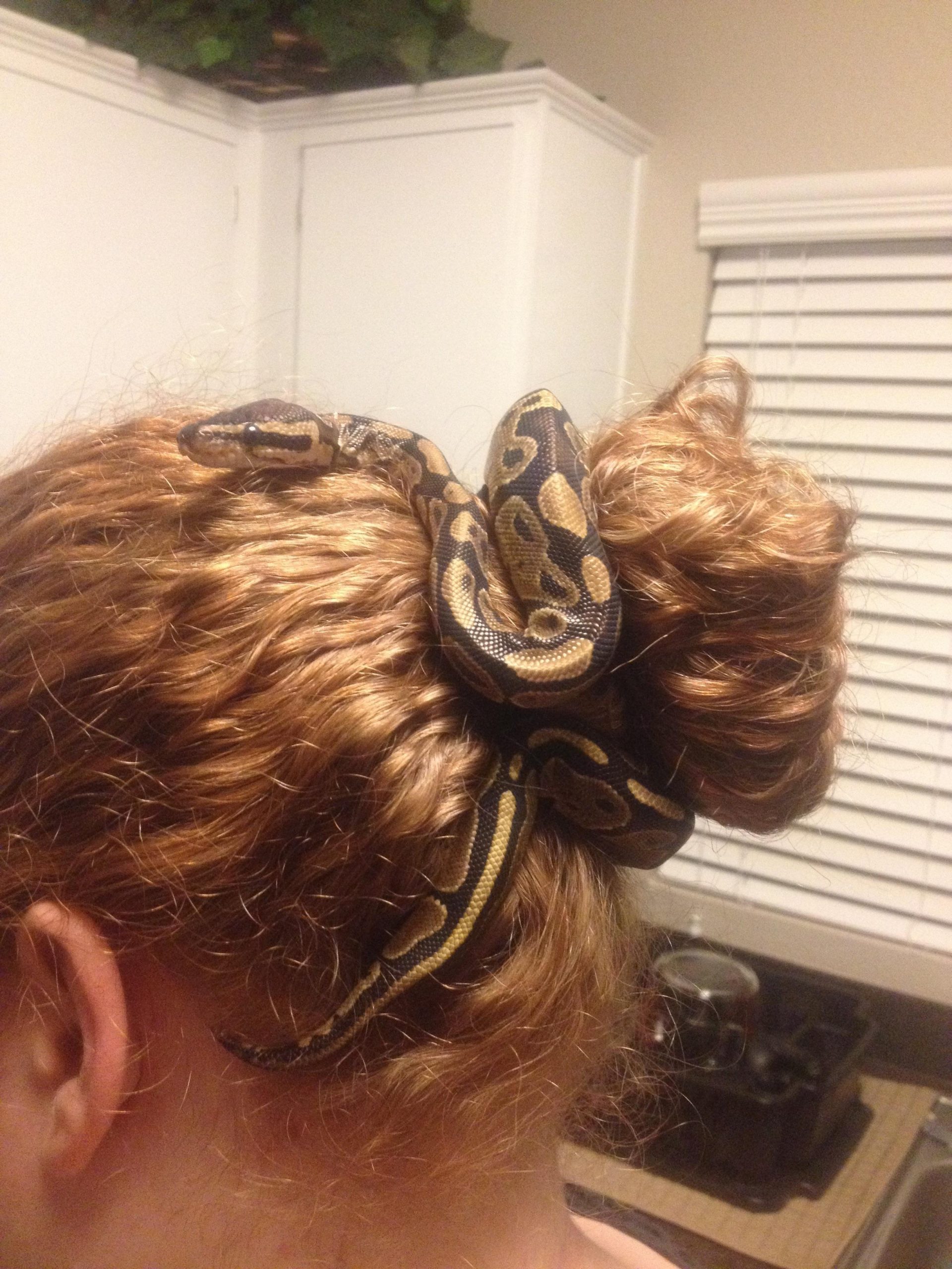 women-tie-a-hair-bun-with-snake-went-viral