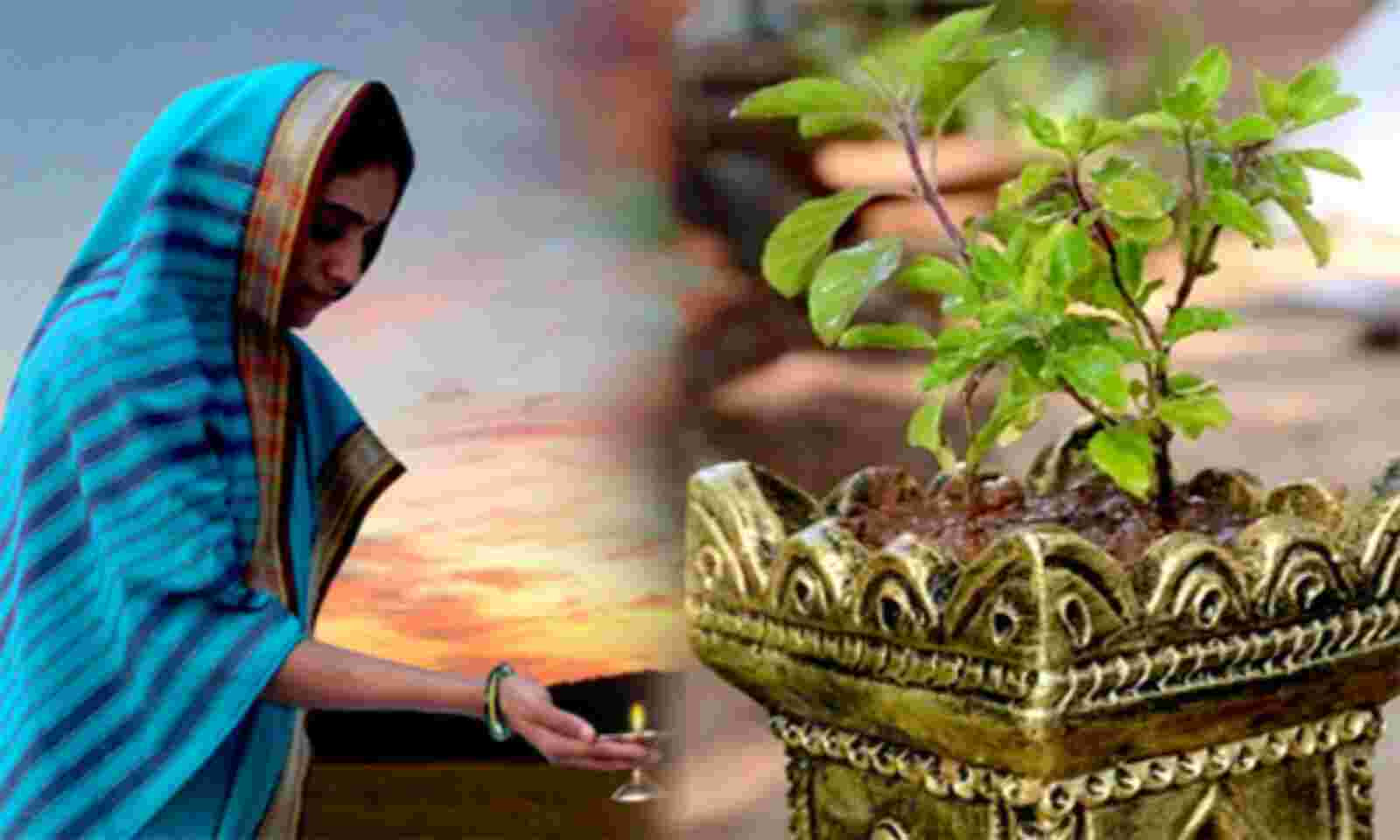 Tulsi Plant Mantra