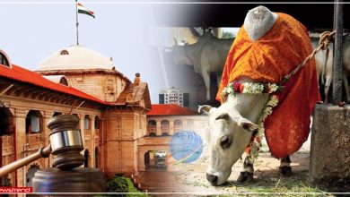allahabad high court cow as national animal
