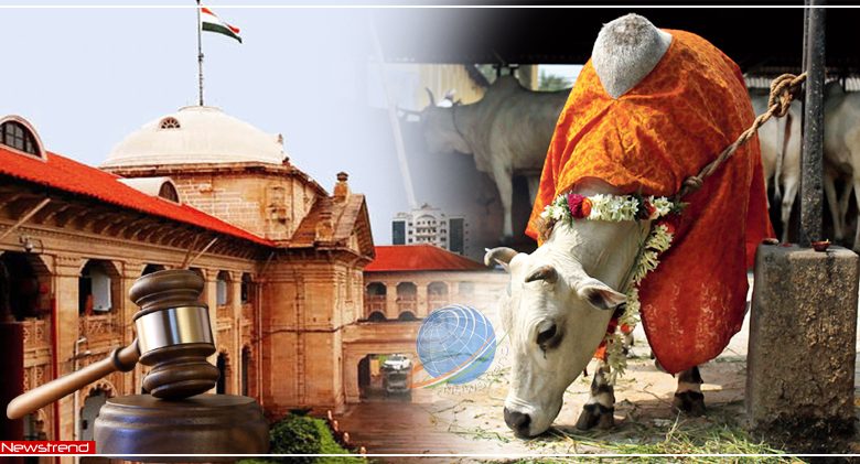 allahabad high court cow as national animal