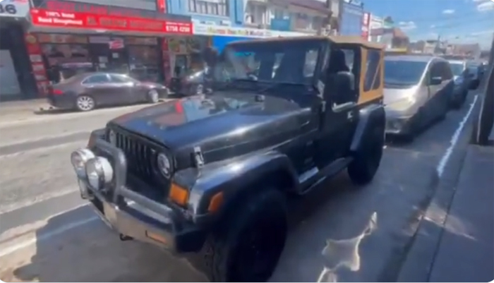 bees-built-swarm-withing-few-minutes-in-jeep