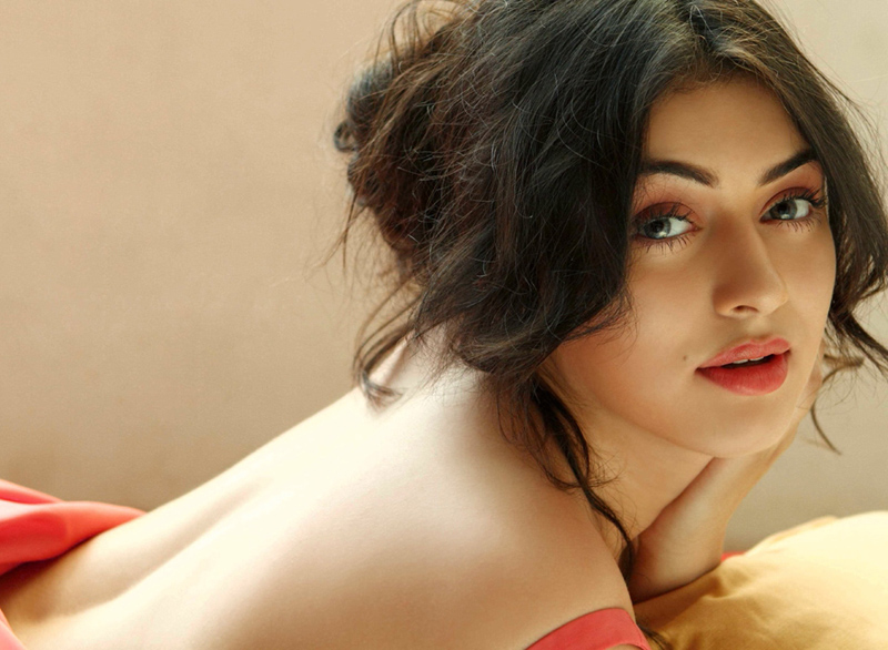 hansika motwani